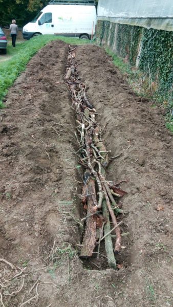 Permaculture ferme exploitation maraichère