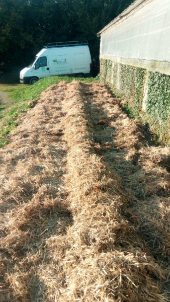 Permaculture ferme exploitation maraichère