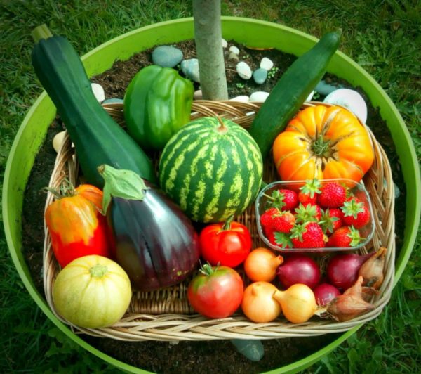 panier légumes fruits bio