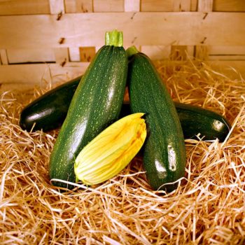 courgette bio dinan panier amap