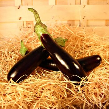 aubergine barbentane bio panier local