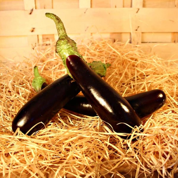 aubergine barbentane bio panier local