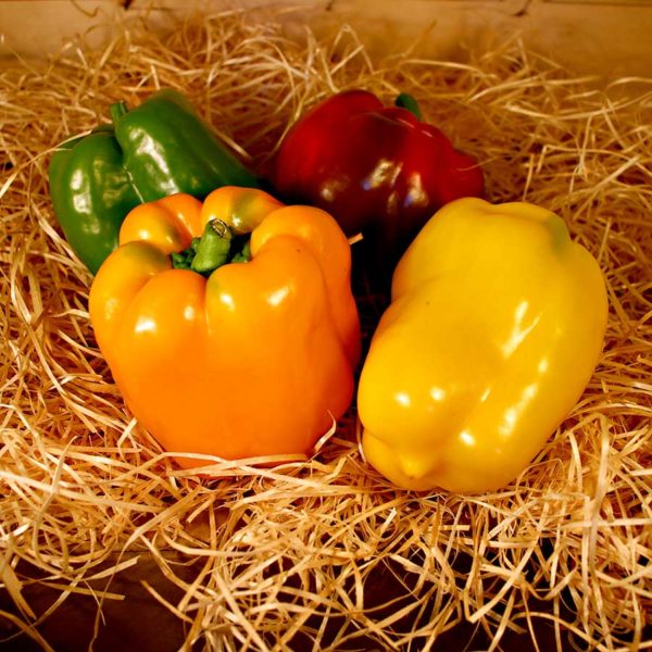 poivrons bio commande en ligne