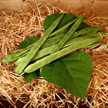 haricot vert bio commande en ligne panier bio evran dinan