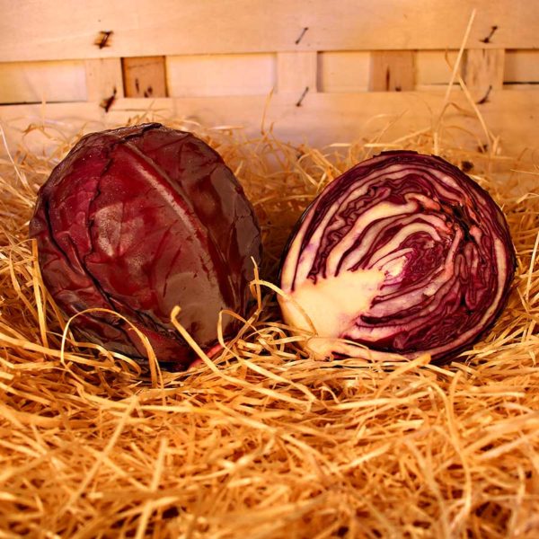 chou rouge bio panier local