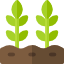 plants potagers bio