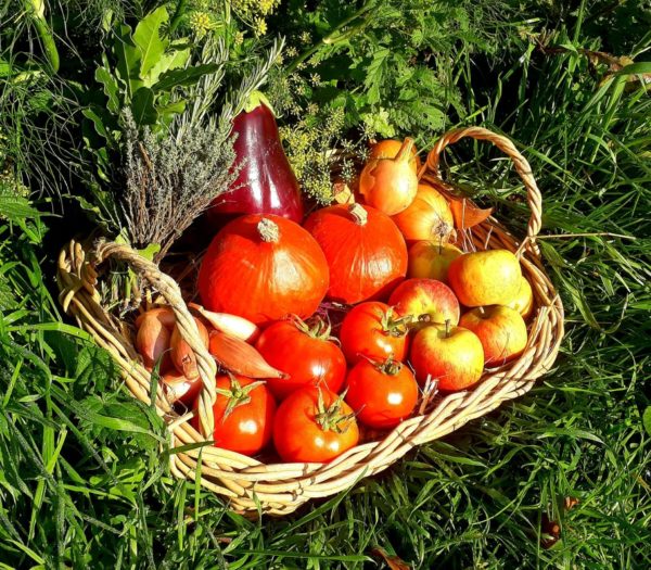 panier local evran dinan commande en ligne