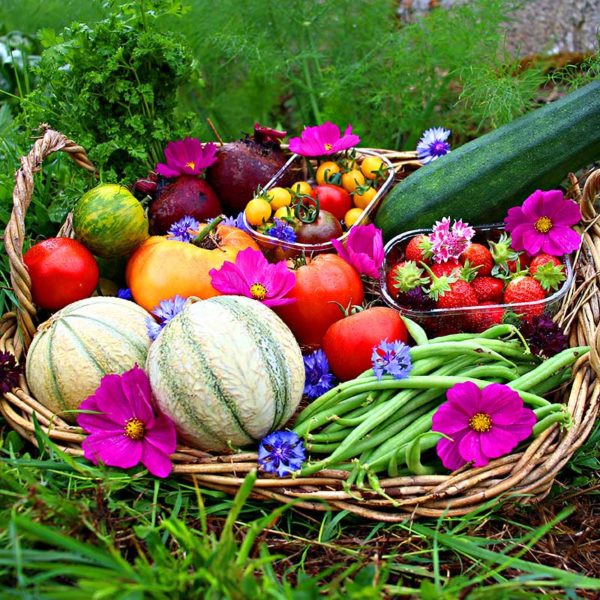 panier local evran dinan commande en ligne