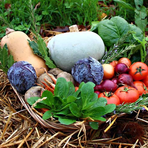 panier local evran dinan commande en ligne
