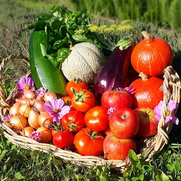 panier local evran dinan commande en ligne