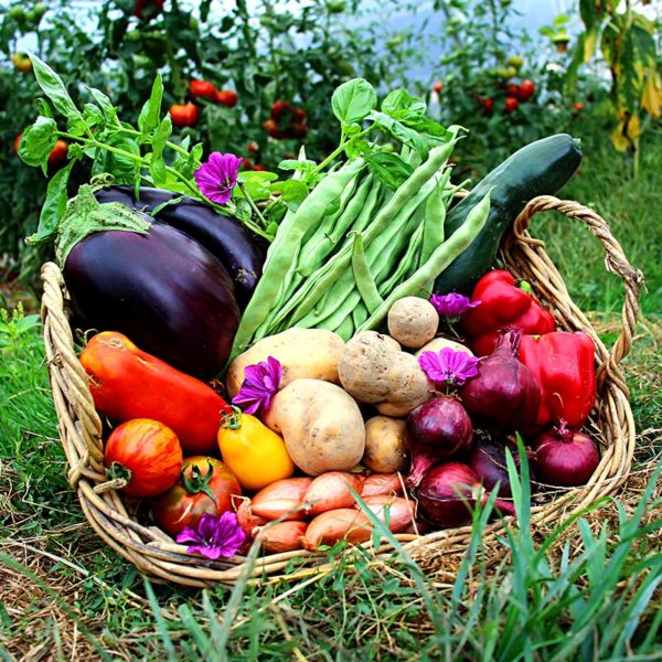 panier local evran dinan commande en ligne