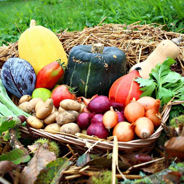 Panier bio et local de saison evran dinan