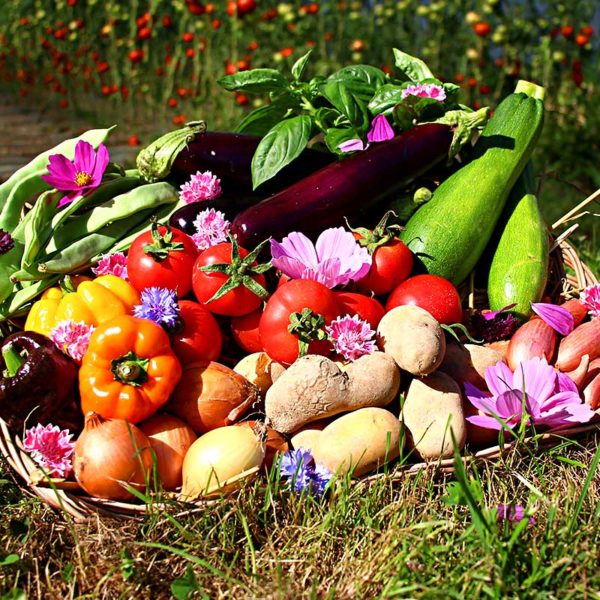 panier local evran dinan commande en ligne