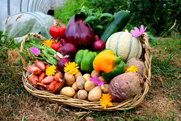 panier local evran dinan commande en ligne