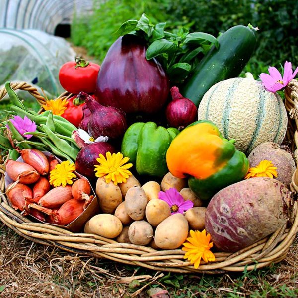 panier local evran dinan commande en ligne
