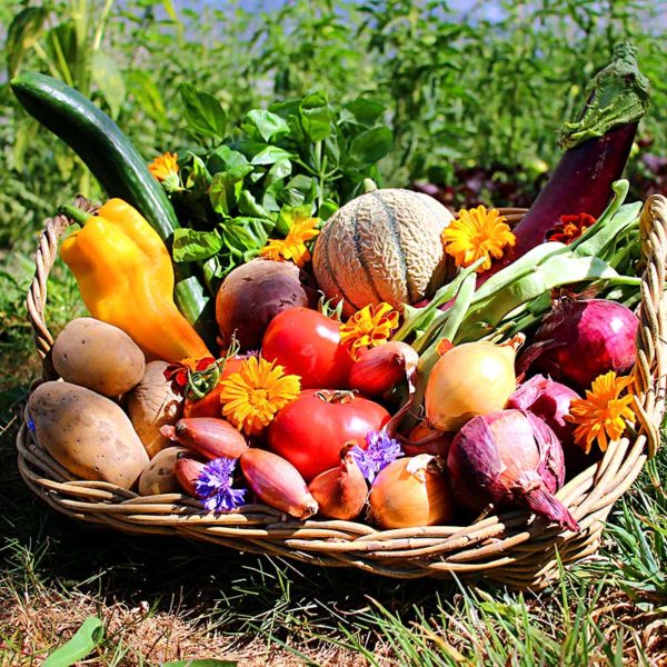 panier local evran dinan commande en ligne