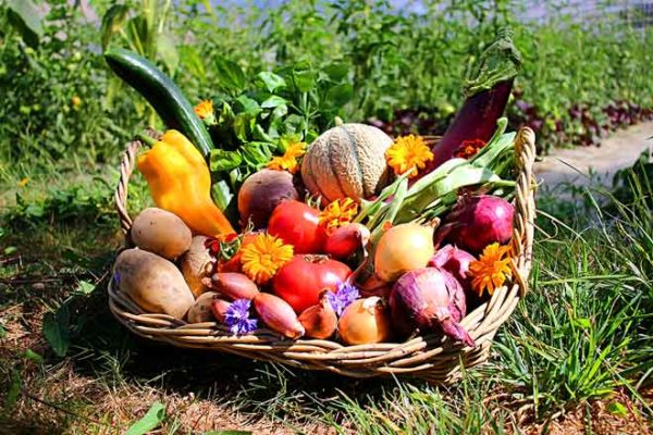 panier local evran dinan commande en ligne