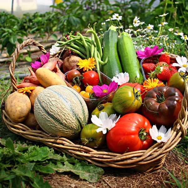 panier local evran dinan commande en ligne