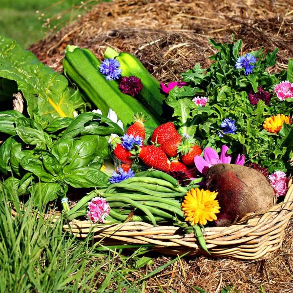 panier local evran dinan commande en ligne