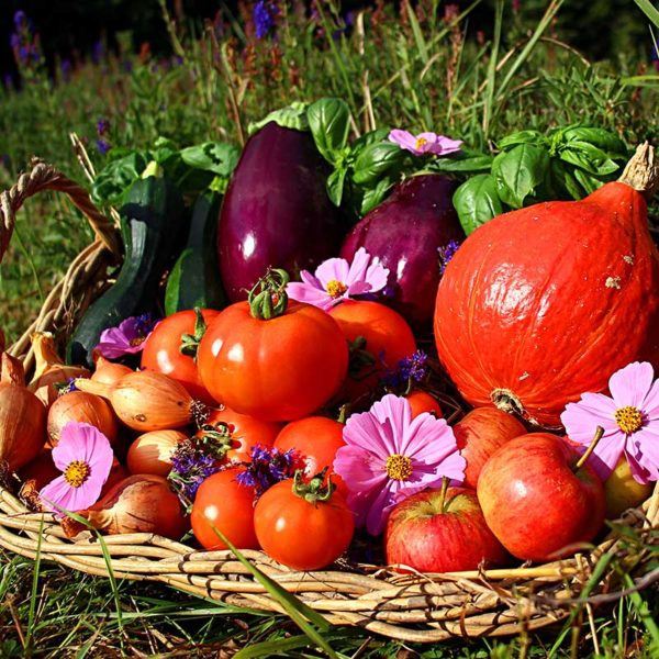 panier local evran dinan commande en ligne