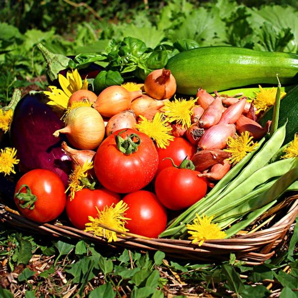 panier local evran dinan commande en ligne