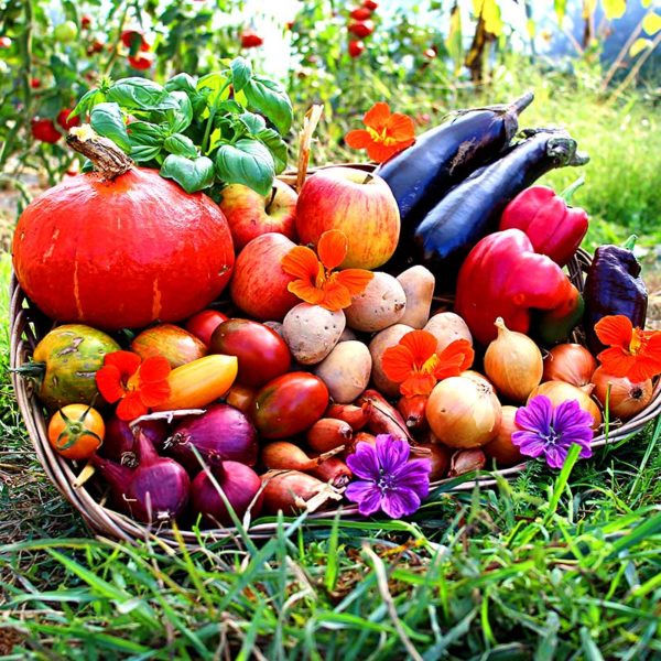 panier local evran dinan commande en ligne