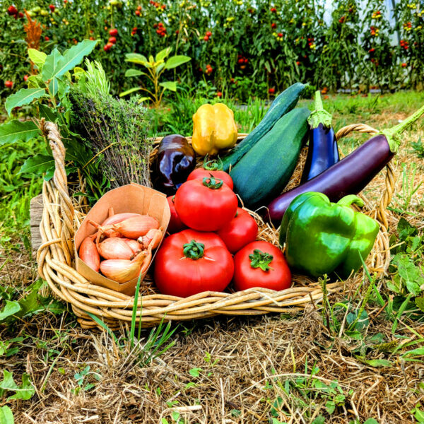 panier local evran dinan commande en ligne
