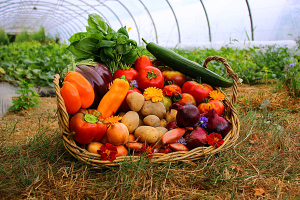 panier local evran dinan commande en ligne