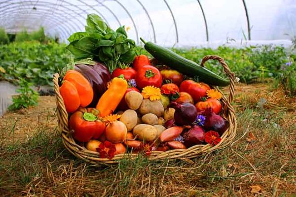 panier local evran dinan commande en ligne