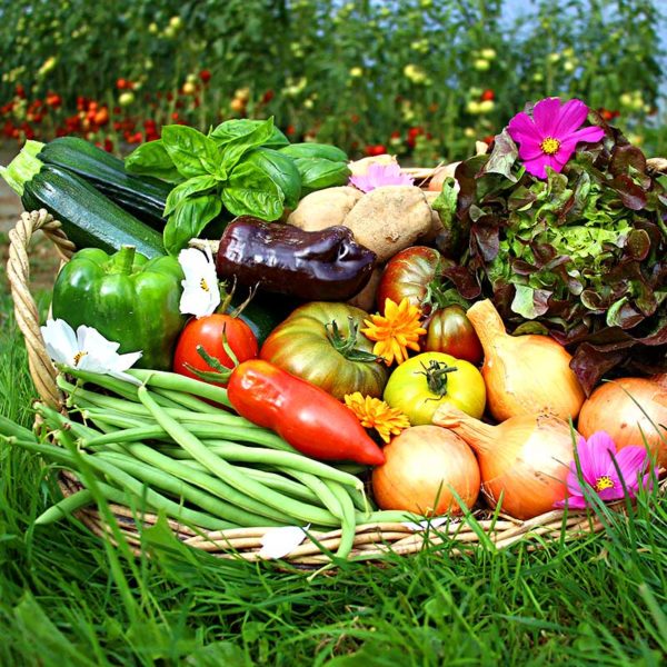 panier local evran dinan commande en ligne