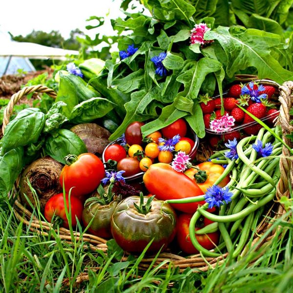 panier local evran dinan commande en ligne