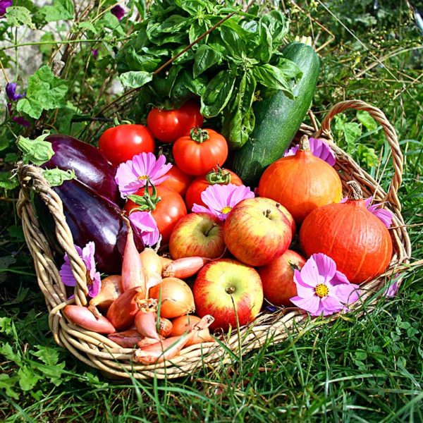panier local evran dinan commande en ligne