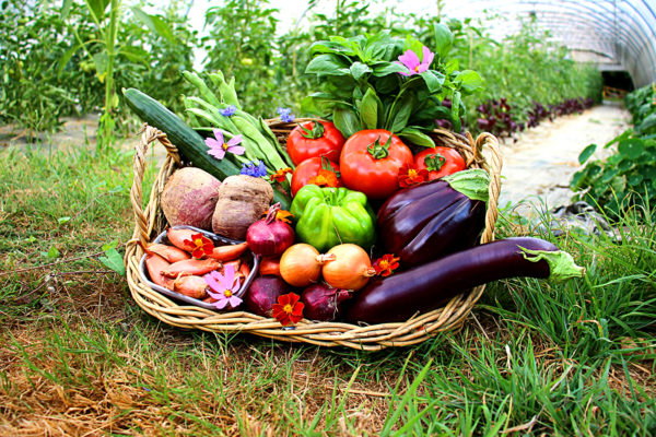 panier local evran dinan commande en ligne