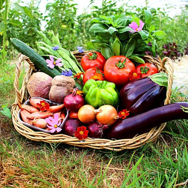 panier local evran dinan commande en ligne