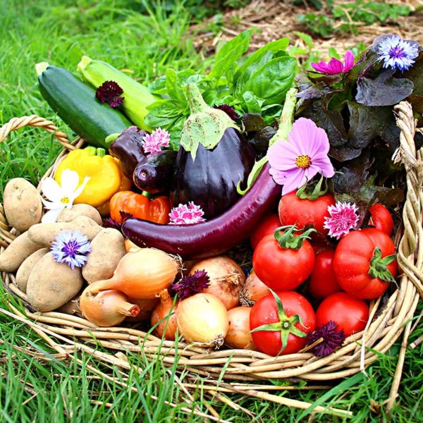 panier local evran dinan commande en ligne