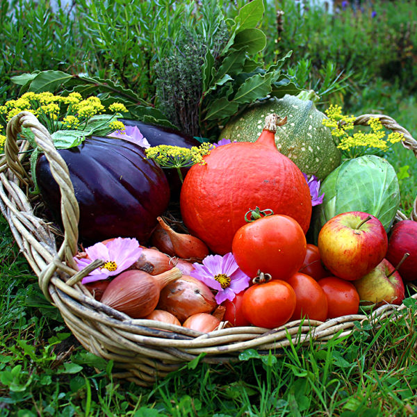 panier local evran dinan commande en ligne