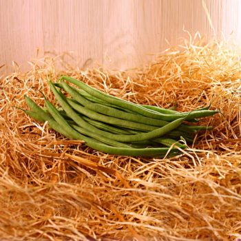 haricots verts panier local commande en ligne dinan evran