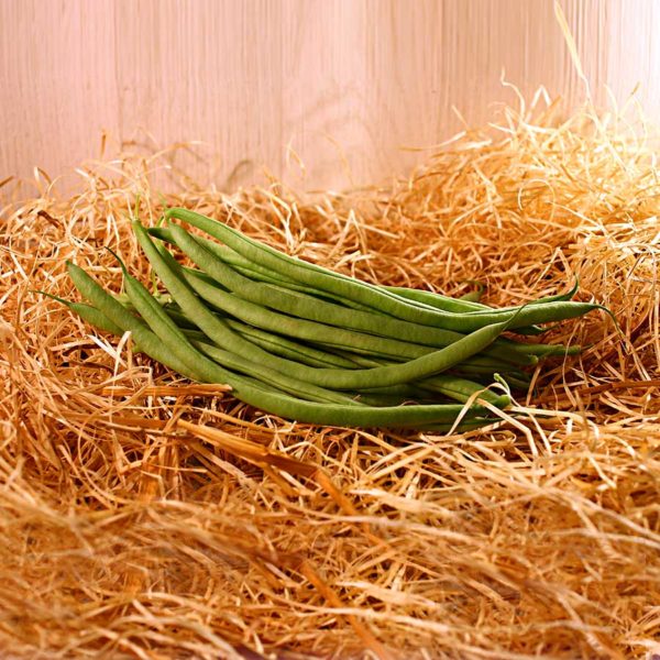 haricots verts panier local commande en ligne dinan evran
