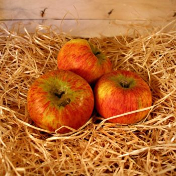 pomme bio panier fermier dinan