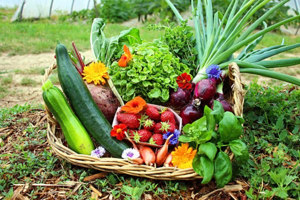 panier local evran dinan commande en ligne