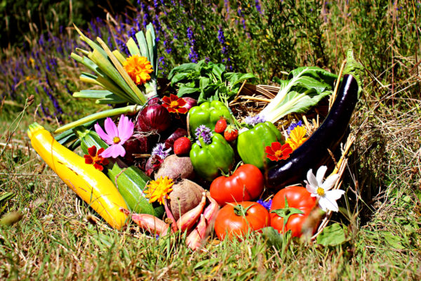 panier local evran dinan commande en ligne