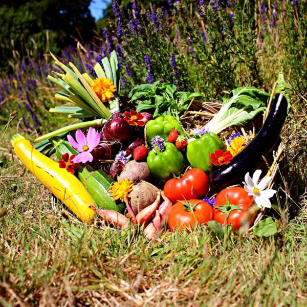 panier local evran dinan commande en ligne