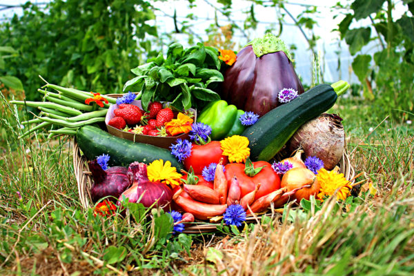 panier local evran dinan commande en ligne