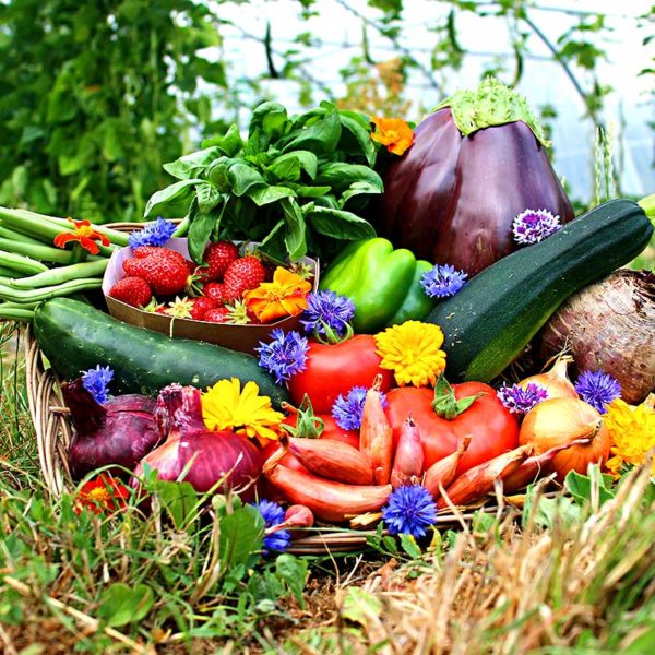 panier local evran dinan commande en ligne