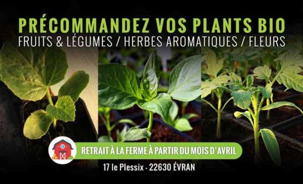 precommande plants bio