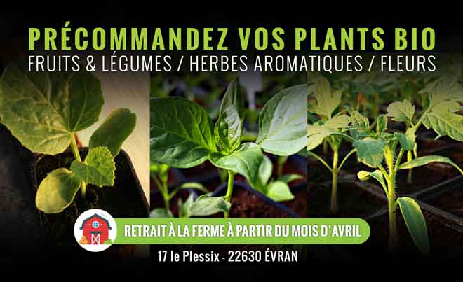 precommande plants bio
