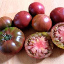 plan bio bretagne 22 dinan evran tomate ananas noire