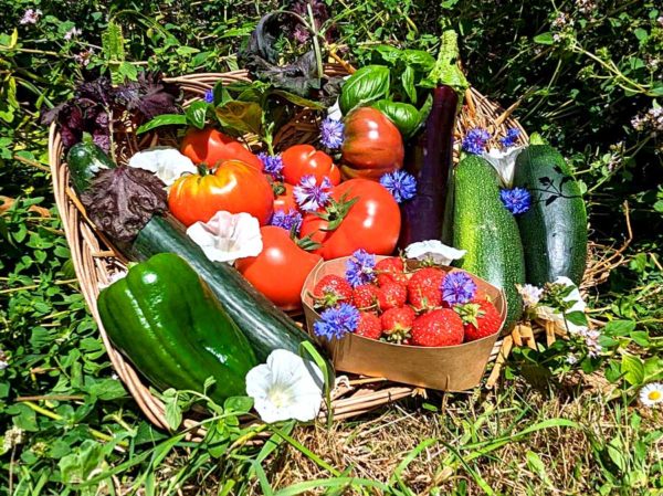 panier local evran dinan commande en ligne