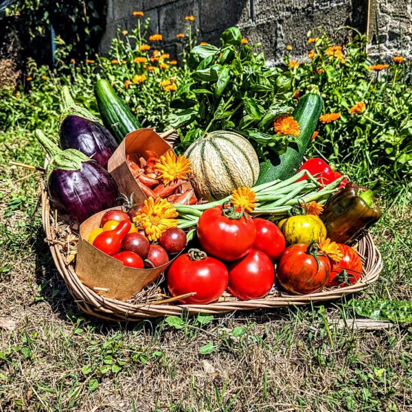 panier local evran dinan commande en ligne