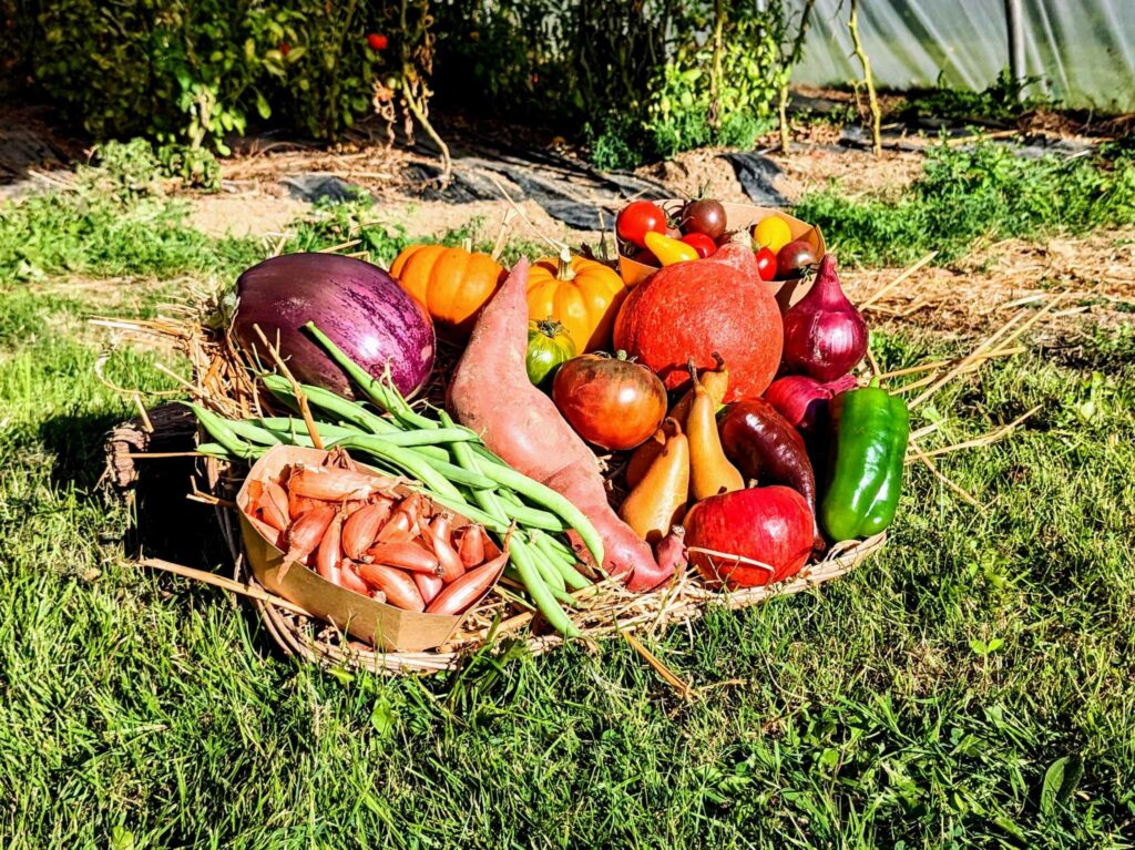panier local evran dinan commande en ligne